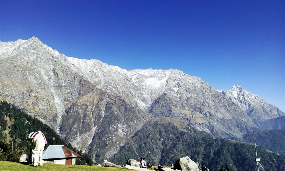   Mcleodganj Triund Trek with Ilaqa Pass